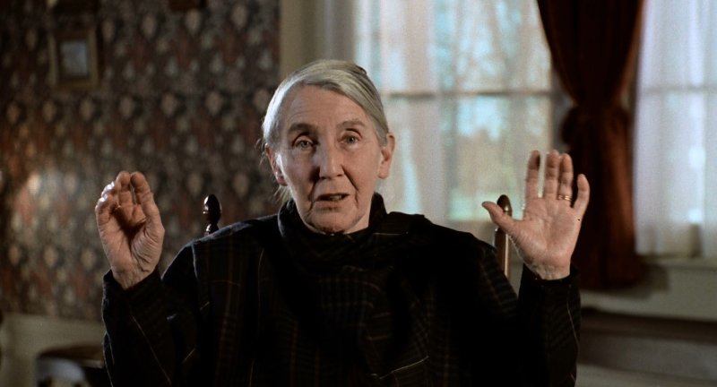 kuvituskuva b
